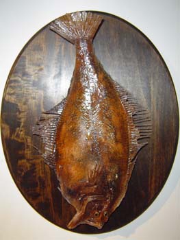 sole